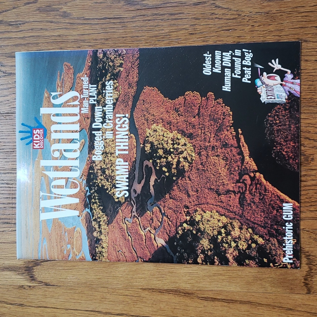 Vintage 90s Kids Discover Magazine Wetlands Volume 7 Issue 10 December 1997